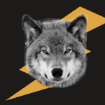 Black Wolf Development