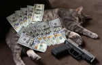 funny money and guns