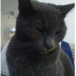 Poopct2cs