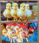 QUACKERJAX