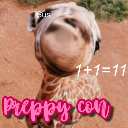 preppy con