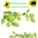 World fans group