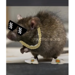 The ratz group ;)