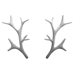 White Exotic Antlers