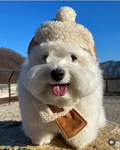 Who loves dog if u do join this
