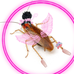 The roaches have rights