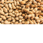 PeAnUt BrAinsssssssss