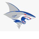 Respect sharks