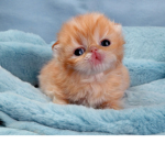 ok ok ok ok ok ok ok ok ok ok ok ok ok r u