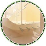 Pirate Bay