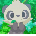 Panda Squad server