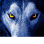 Loganbeau09 Wolfpack