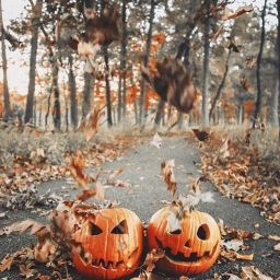 🎃 . • .