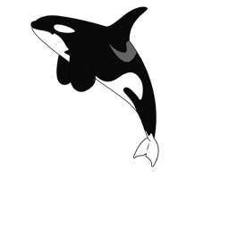 .*Riptide Aquatics*.