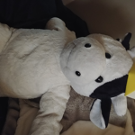 Cow lord united