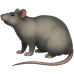 IeatTinyRats
