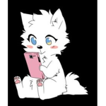 ｡◕‿◕｡