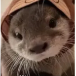 Hi >3