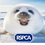 RSPCA (Save The Animals)