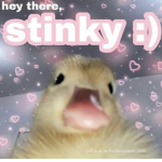 ButStub