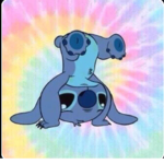 stitch club .w.