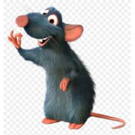 The Rats Unite - Sec ond Kingdom