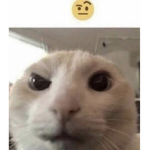 JAVACODE