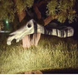 Trevor Handarson:  Long Horse