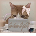 ludenlight