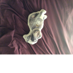 Bodhi