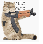 ALLY CATZ