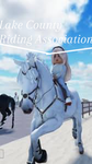 Rp:Horse game—etc