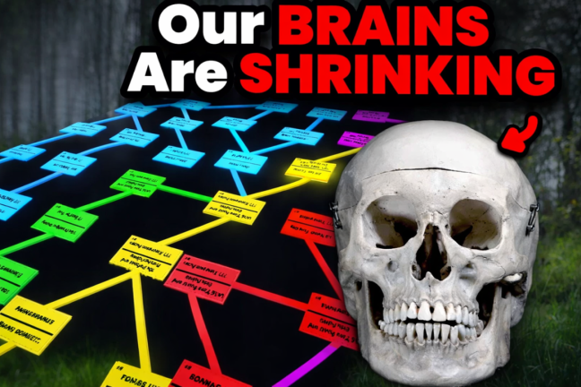 The Ultimate Upgrade Tree: Teamwork  screenshot 3