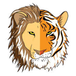 The Tigers And Lions