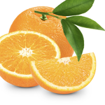 Oranges Time Testers