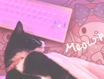 0ffCam
