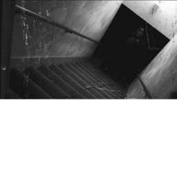 [CHAPTER 2] The Monster In The Cellar