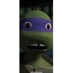 TeenageNinjaTurtleś
