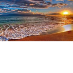 Amazing Beach Vibez