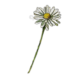 The Flowers Friends
