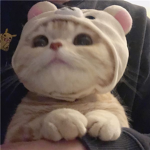 poggrs