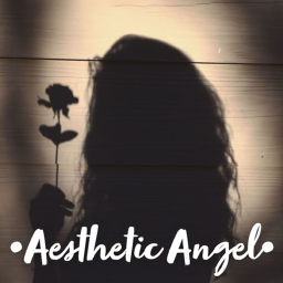 •Aesthetic Angel•