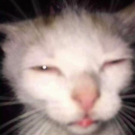 Acceptance For Pikle