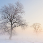 WinterFlow