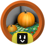 Pumpkin Cadet