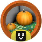 Pumpkin Cadet