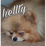 hellty
