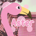 Aster's Closet