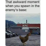 For noob and Pro