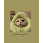 Cool~cats